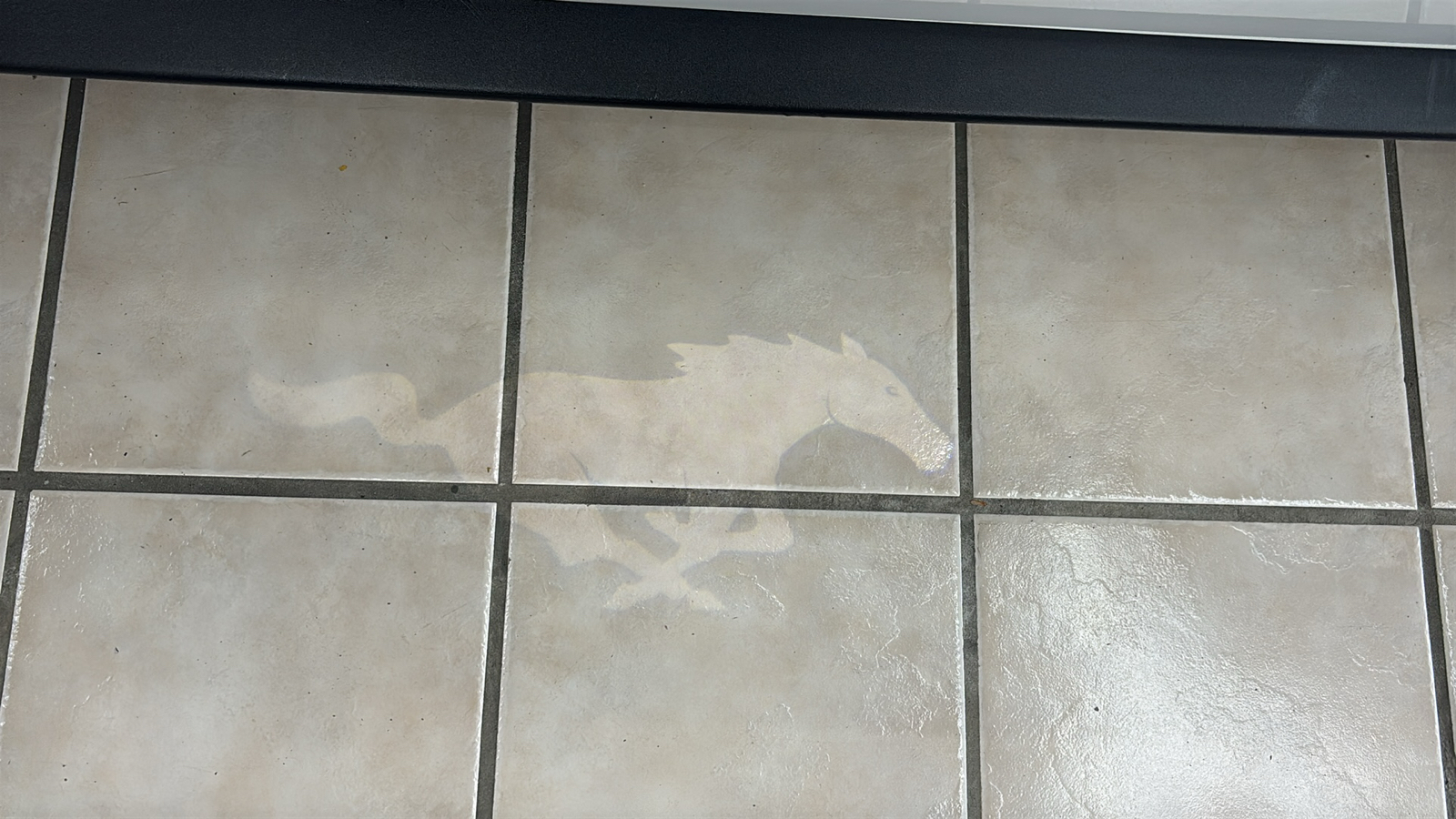 Car Connection Superstore - Used vehicle - COUPE FORD MUSTANG 2021