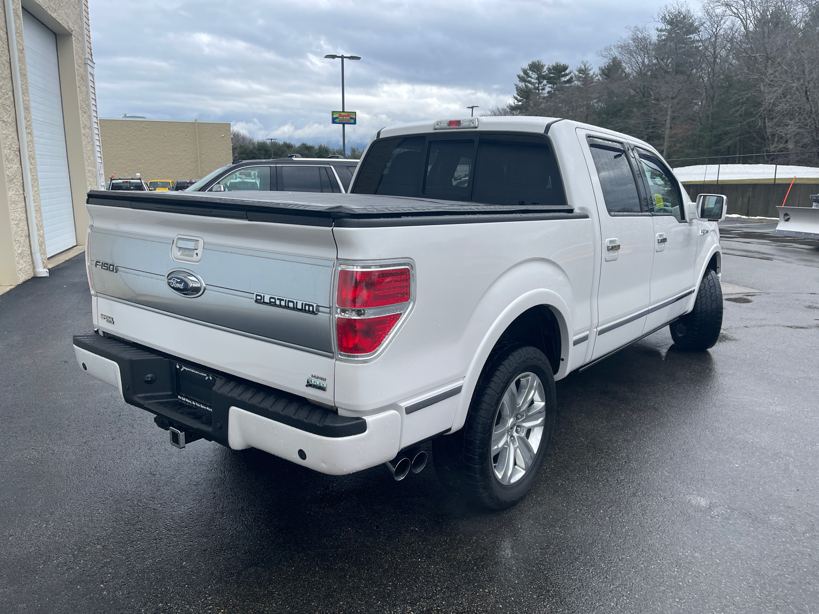 2010 FORD F-150  14