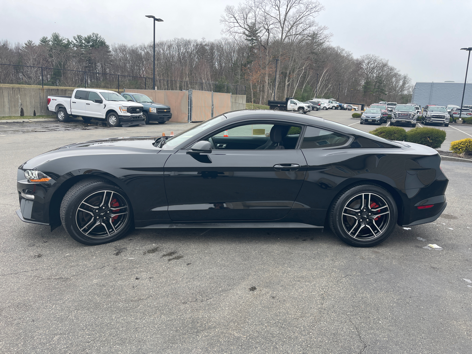 2019 Ford Mustang EcoBoost 5