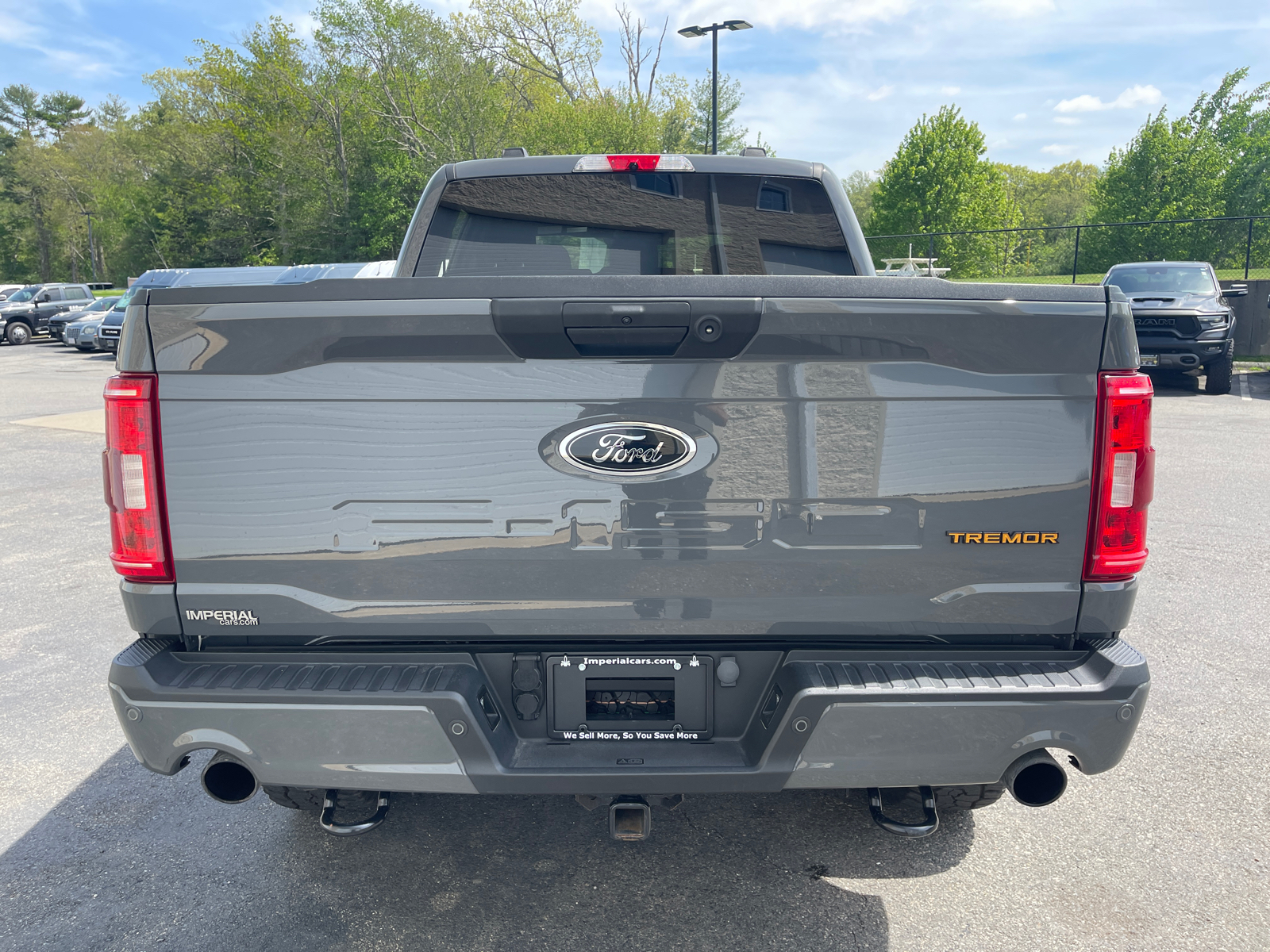 2021 Ford F-150 Tremor 9