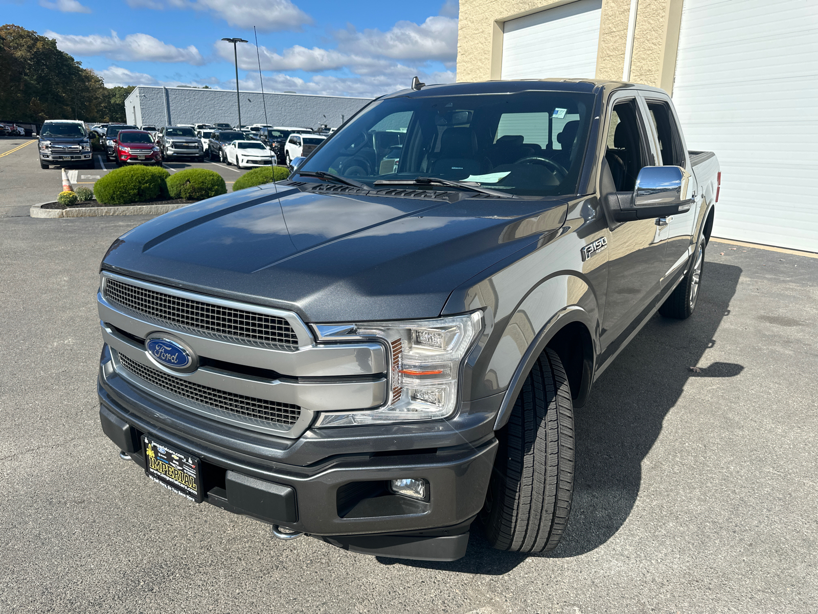 2019 Ford F-150 Platinum 4