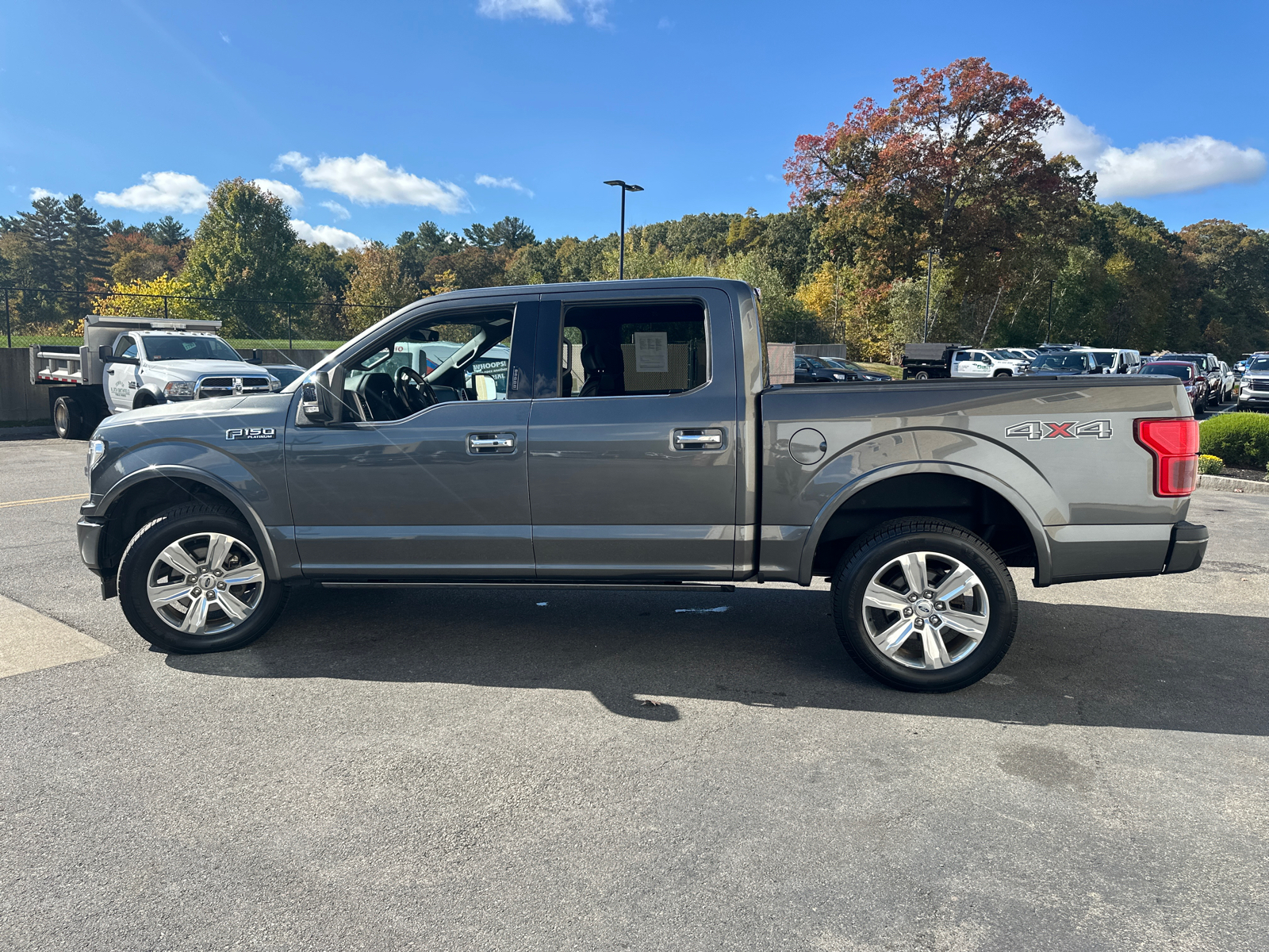 2019 Ford F-150 Platinum 5