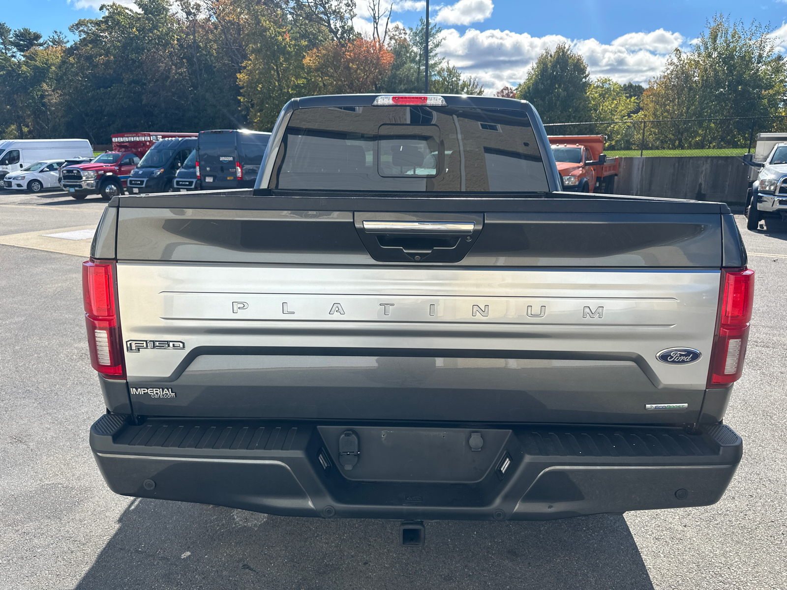 2019 Ford F-150 Platinum 8