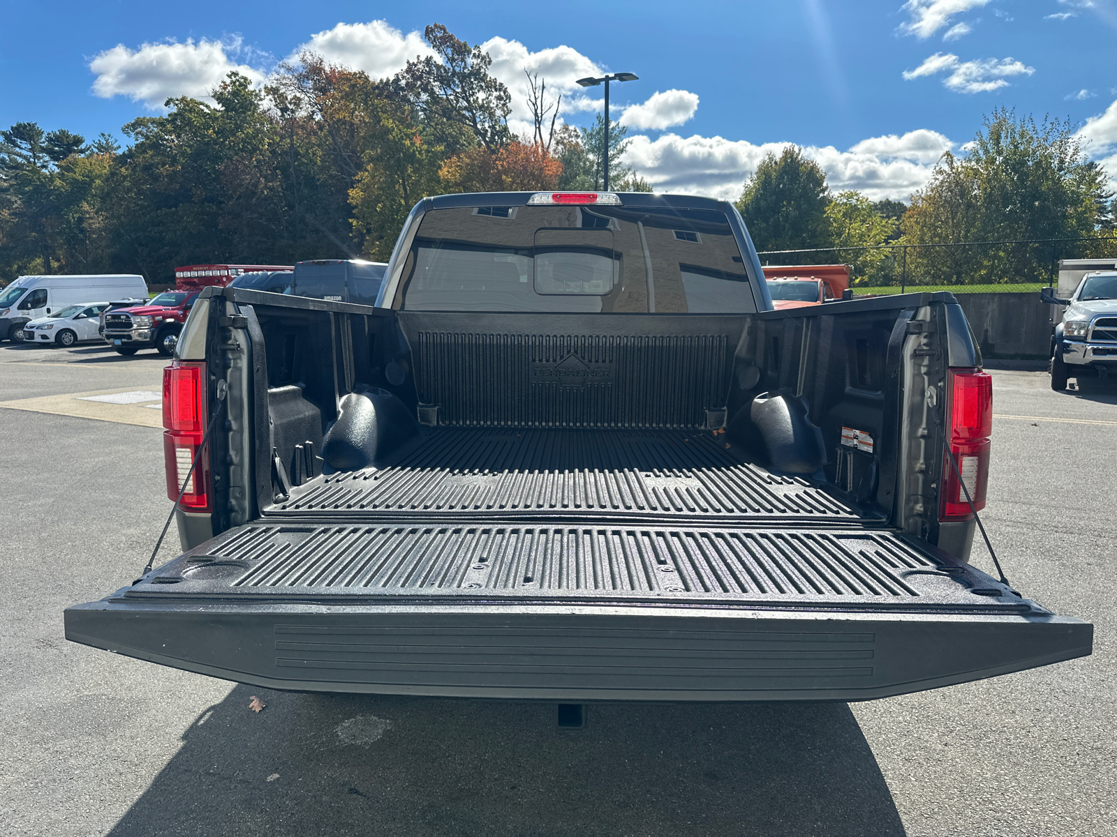 2019 Ford F-150 Platinum 9