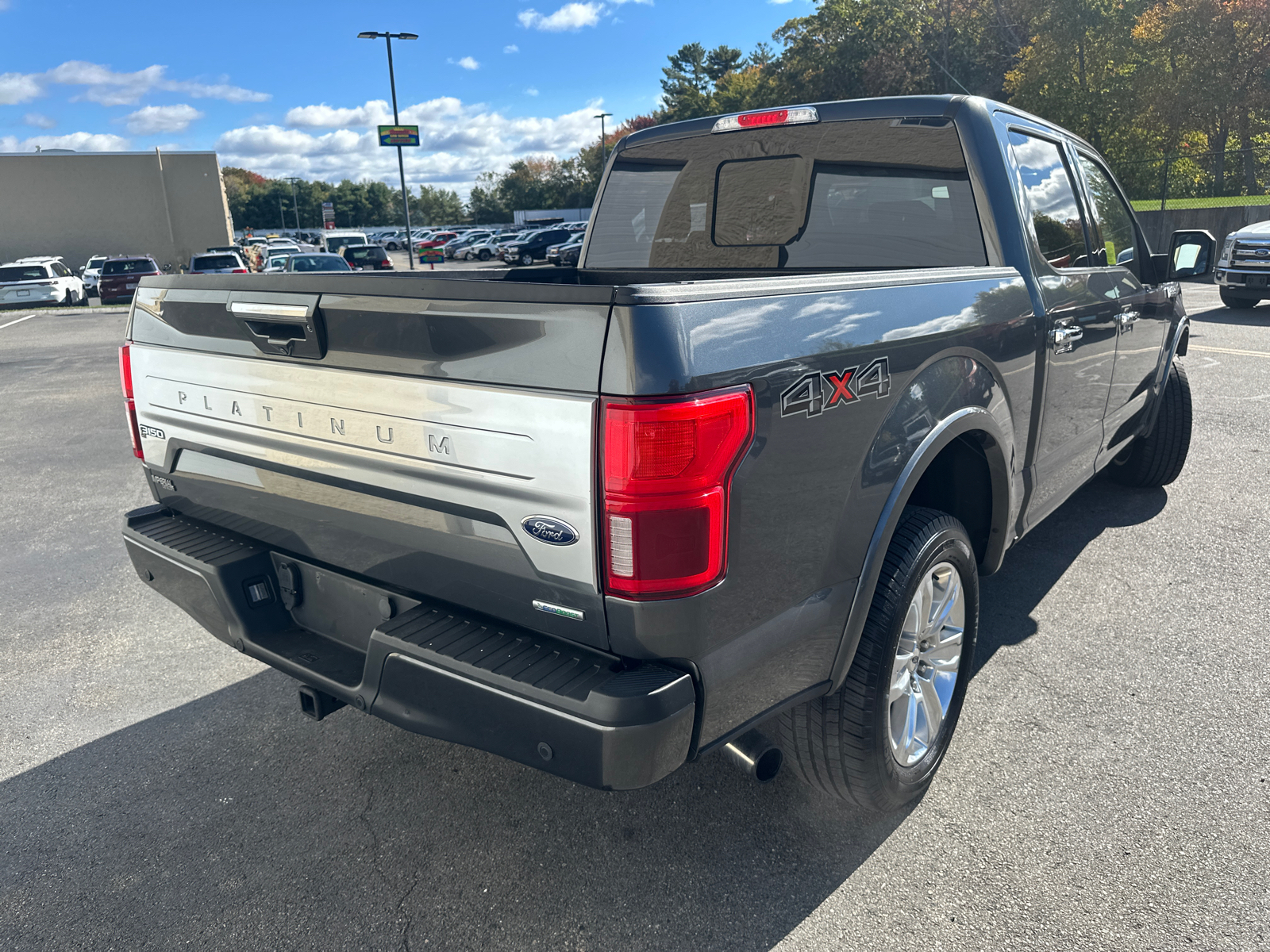 2019 Ford F-150 Platinum 10