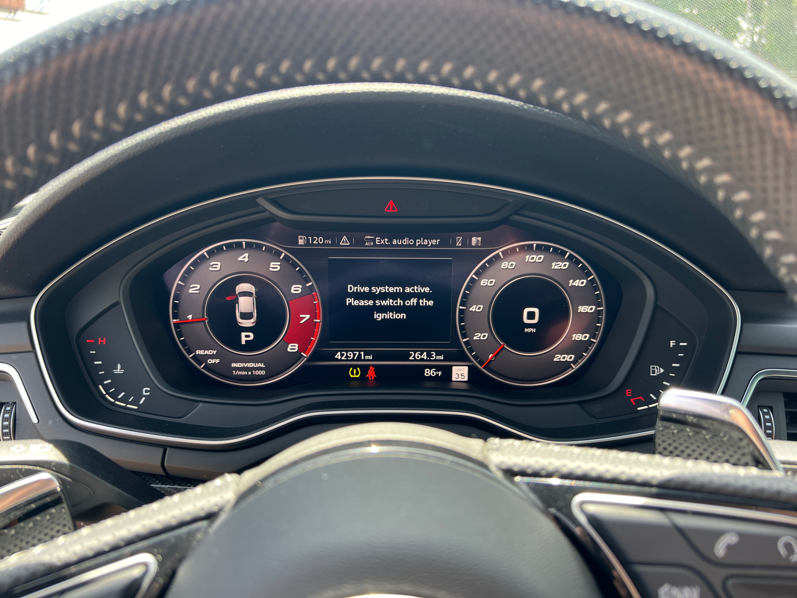 2019 Audi RS 5 Sportback 2.9T 28
