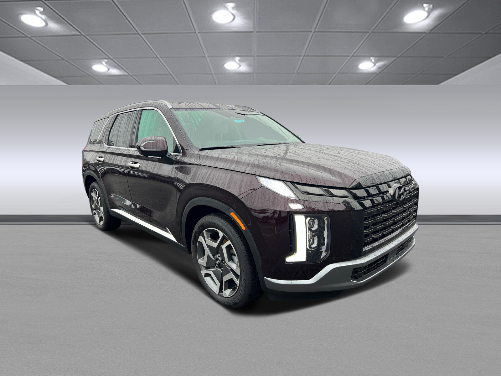 2024 Hyundai Palisade Limited 1