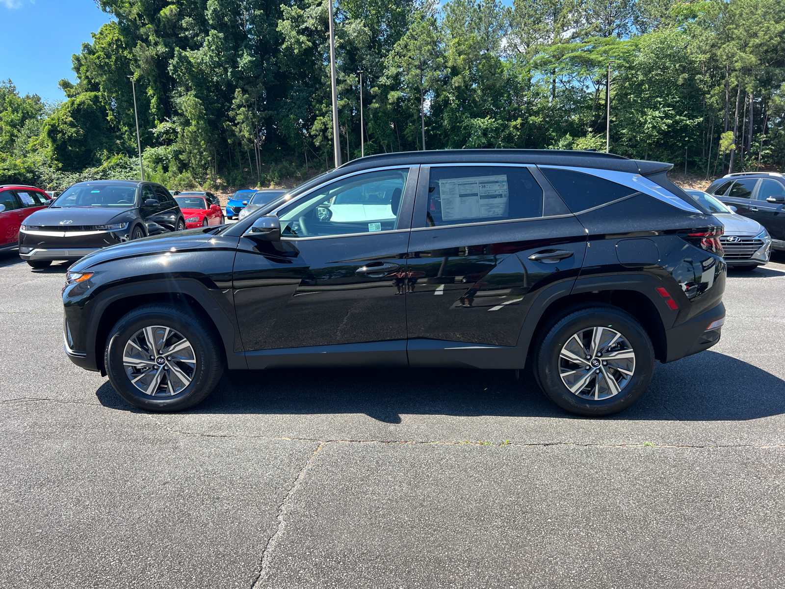 2024 Hyundai Tucson Hybrid Blue 5