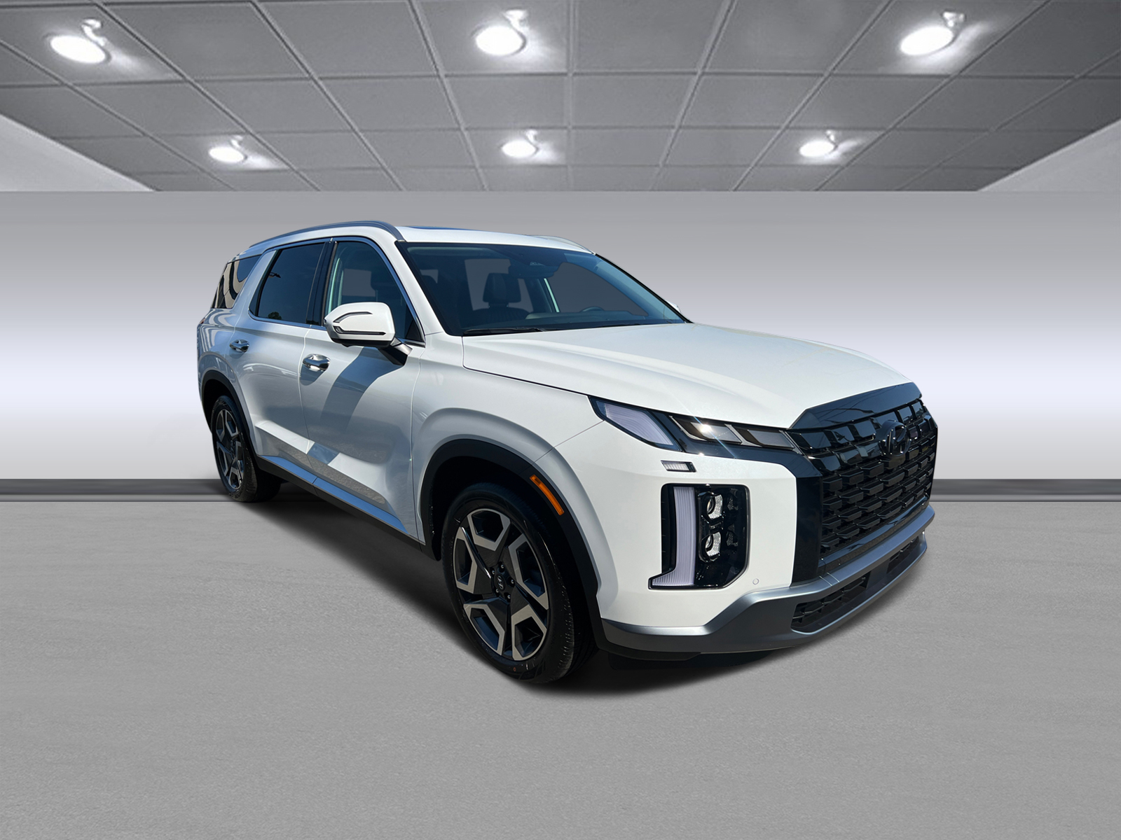 2025 Hyundai Palisade Limited 1