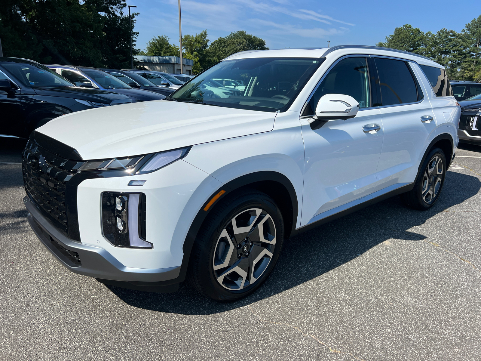 2025 Hyundai Palisade Limited 4