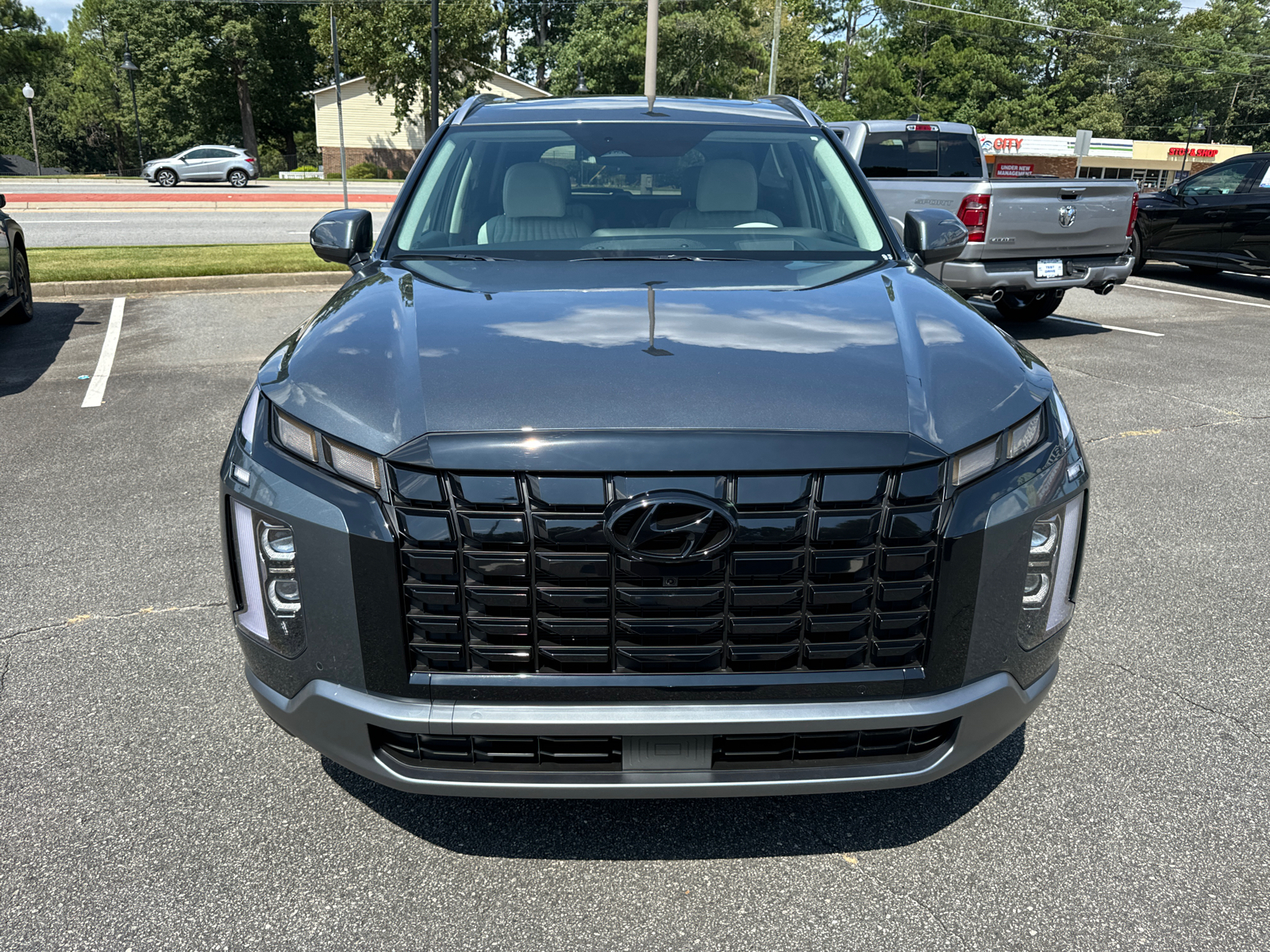 2025 Hyundai Palisade Limited 3