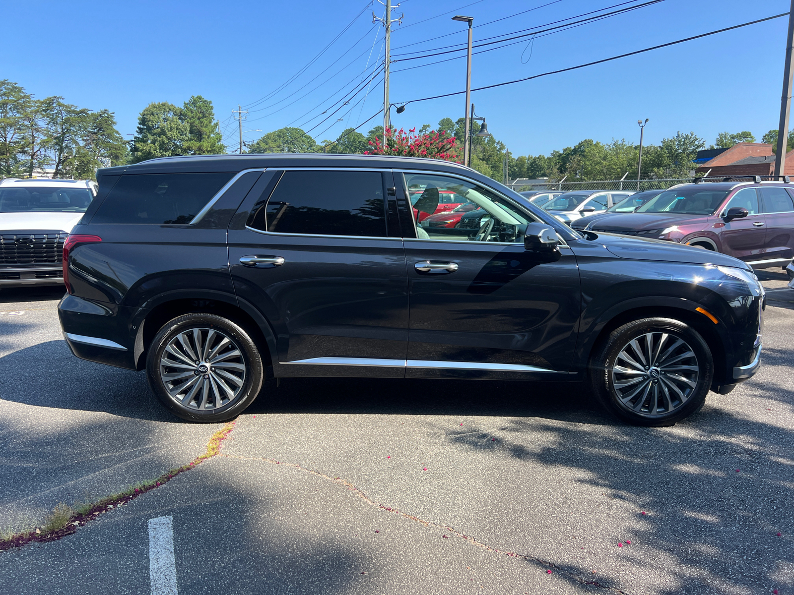 2025 Hyundai Palisade Calligraphy 9