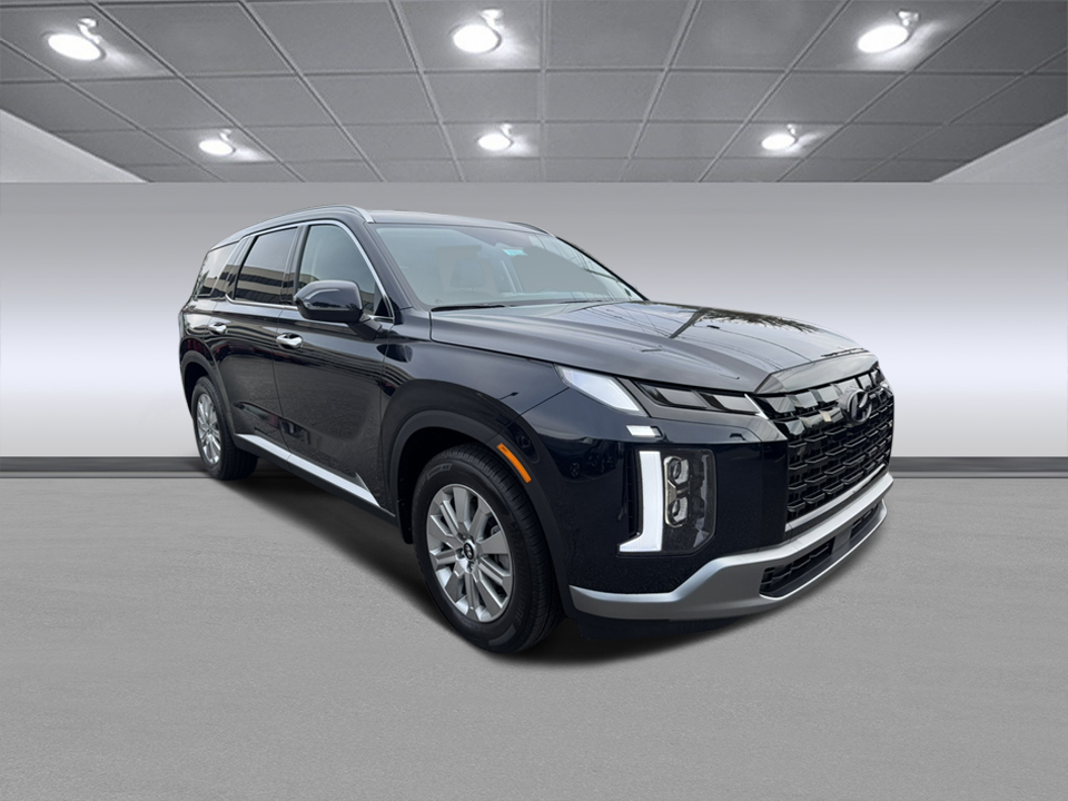 2025 Hyundai Palisade SEL 1