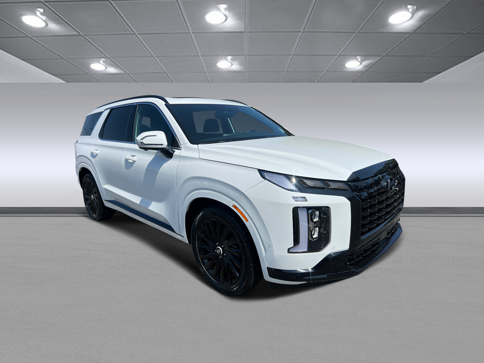 2024 Hyundai Palisade Calligraphy Night Edition 1