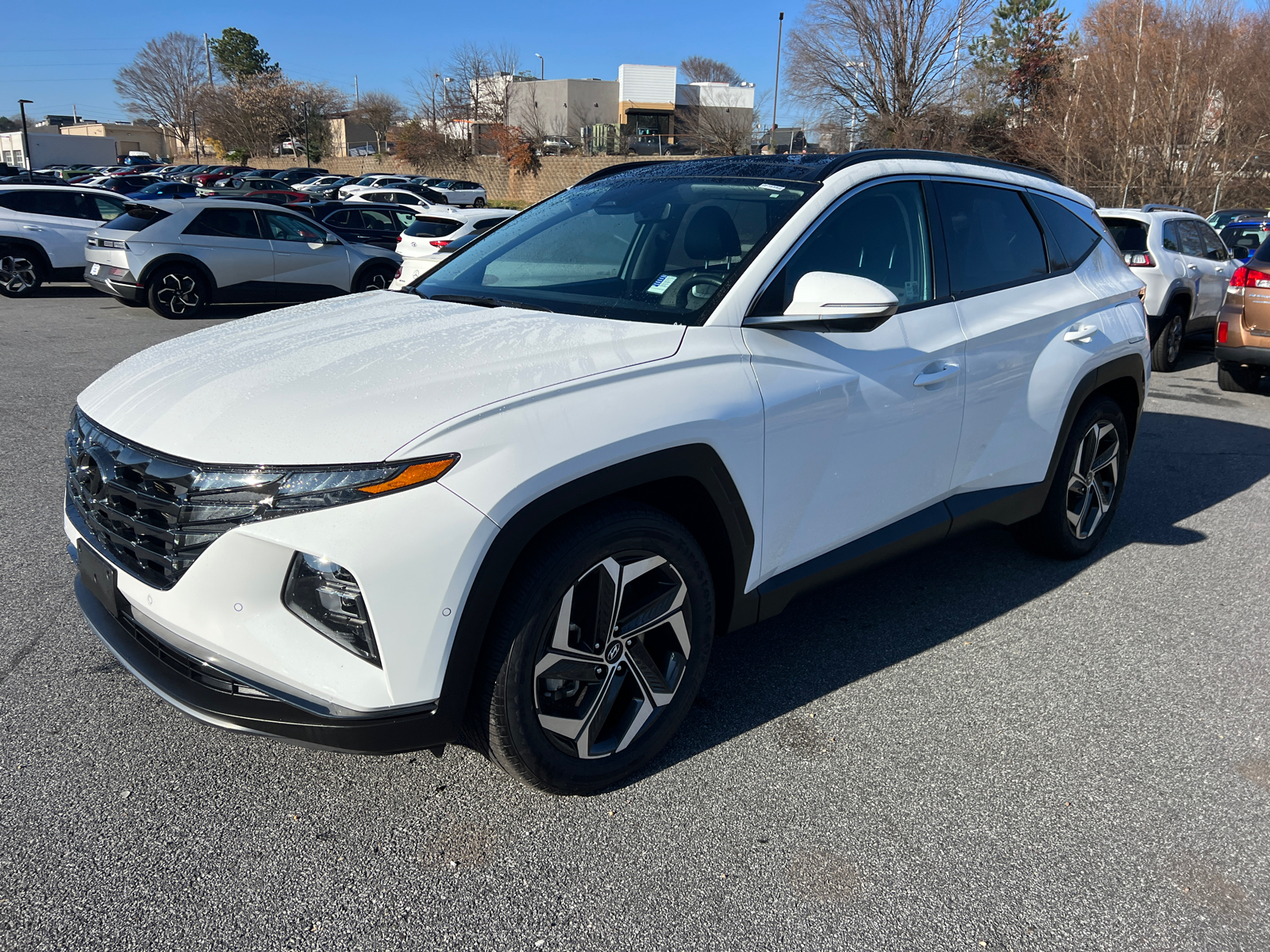 2024 Hyundai Tucson Limited 5