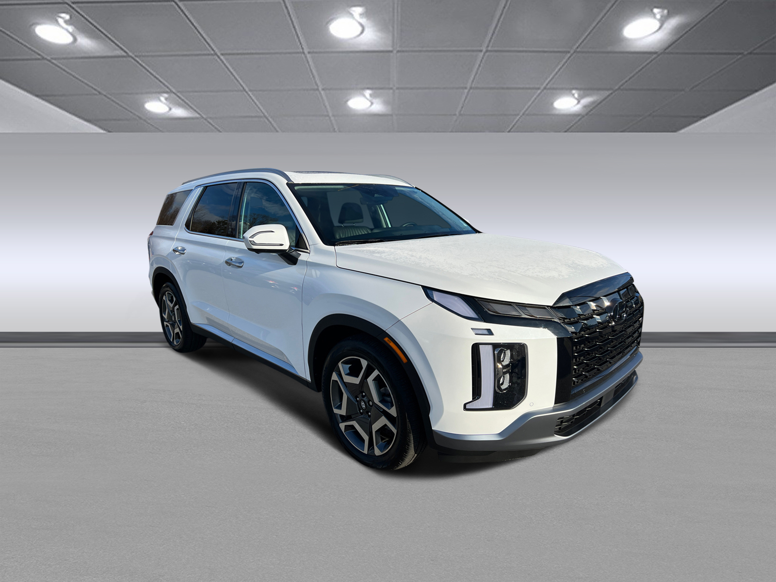 2024 Hyundai Palisade Limited 1