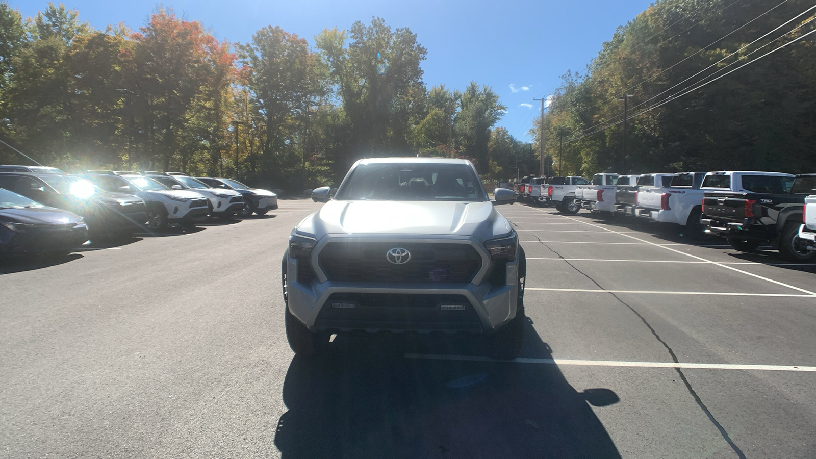 2024 Toyota Tacoma  8