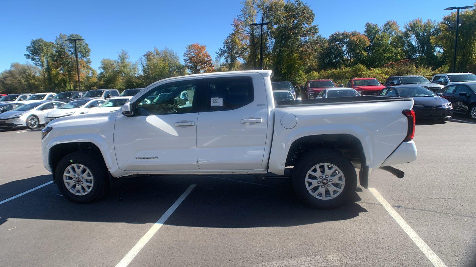 2024 Toyota Tacoma  6