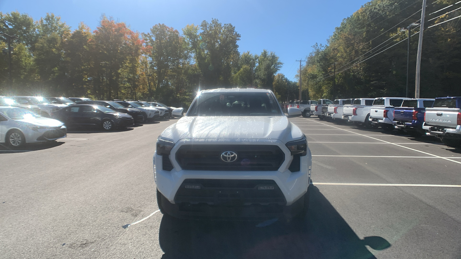 2024 Toyota Tacoma  8