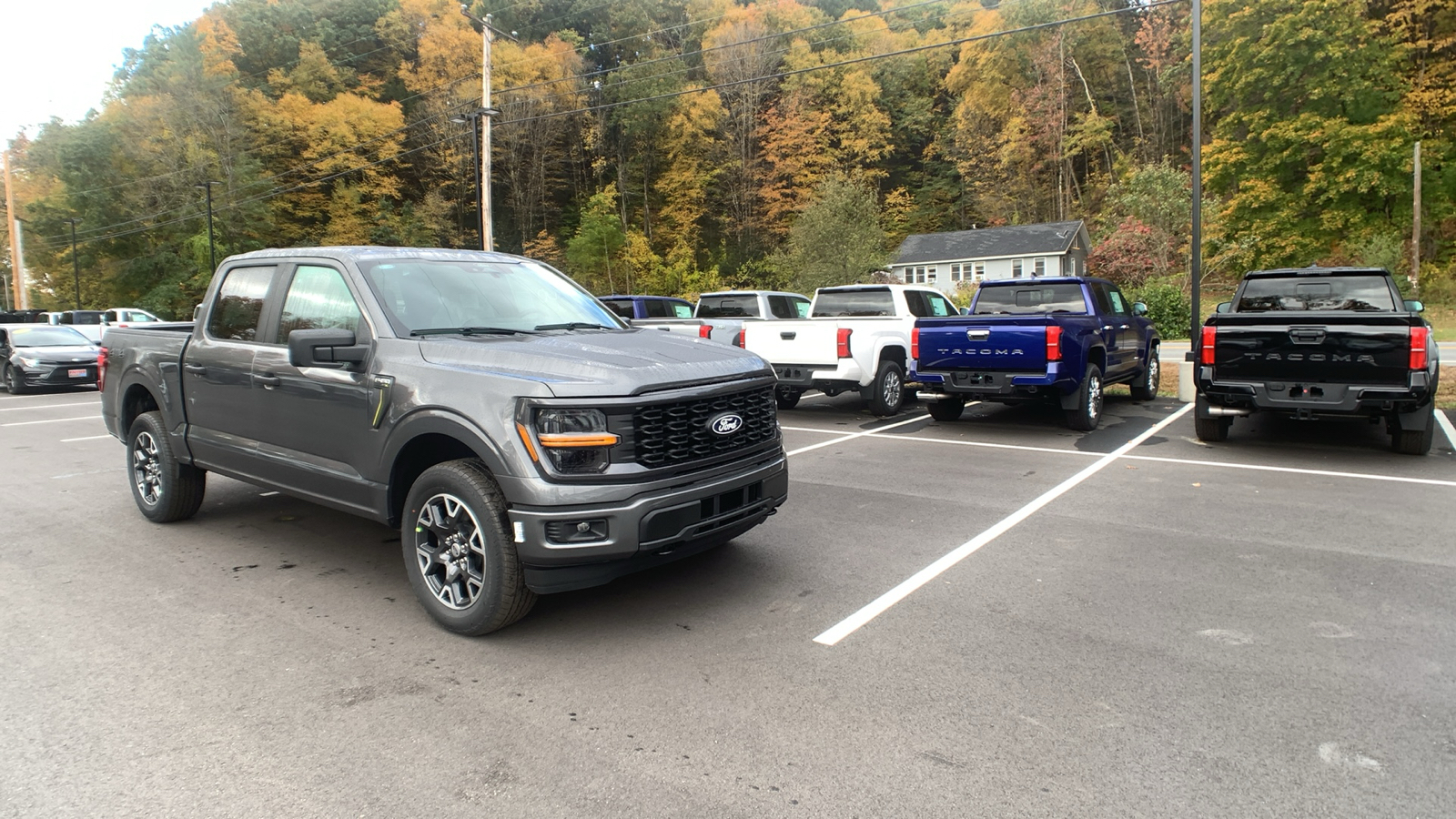 2024 Ford F-150 STX 1