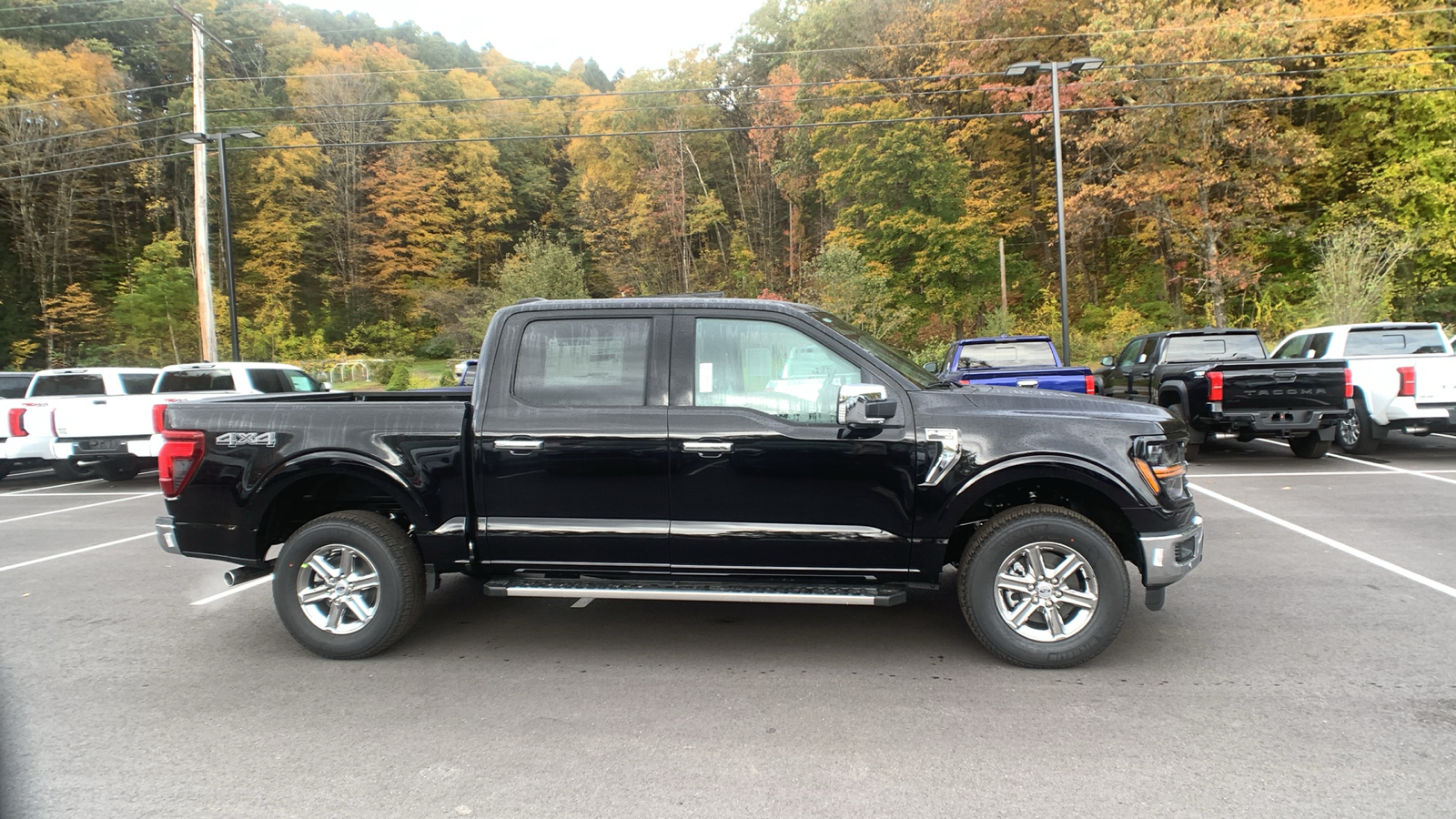 2024 Ford F-150 XLT 2