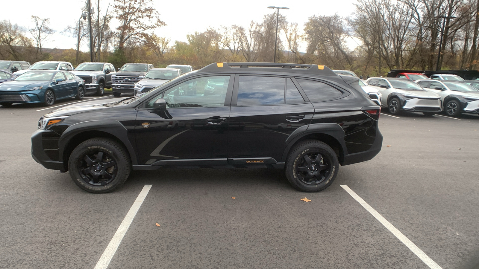 2024 Subaru Outback Wilderness 6