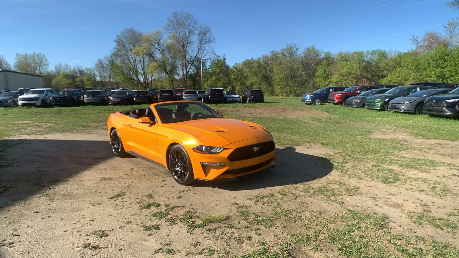 2019 Ford Mustang EcoBoost Premium 1
