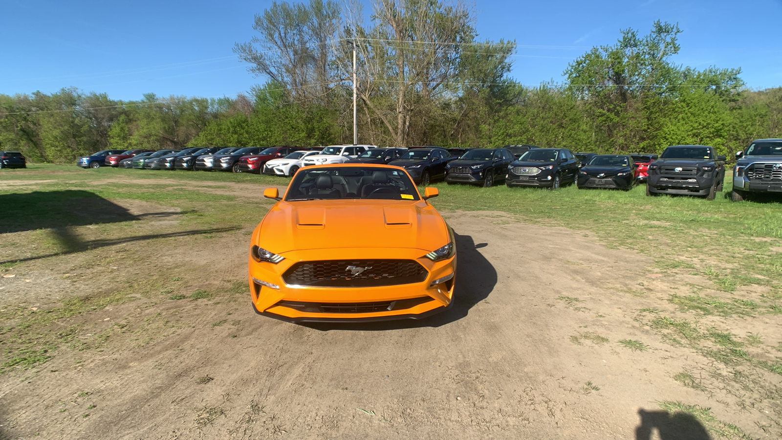 2019 Ford Mustang EcoBoost Premium 8