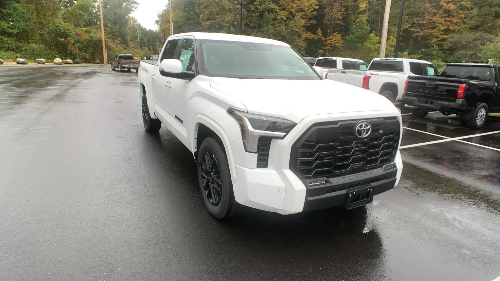 2024 Toyota Tundra 4WD SR5 1