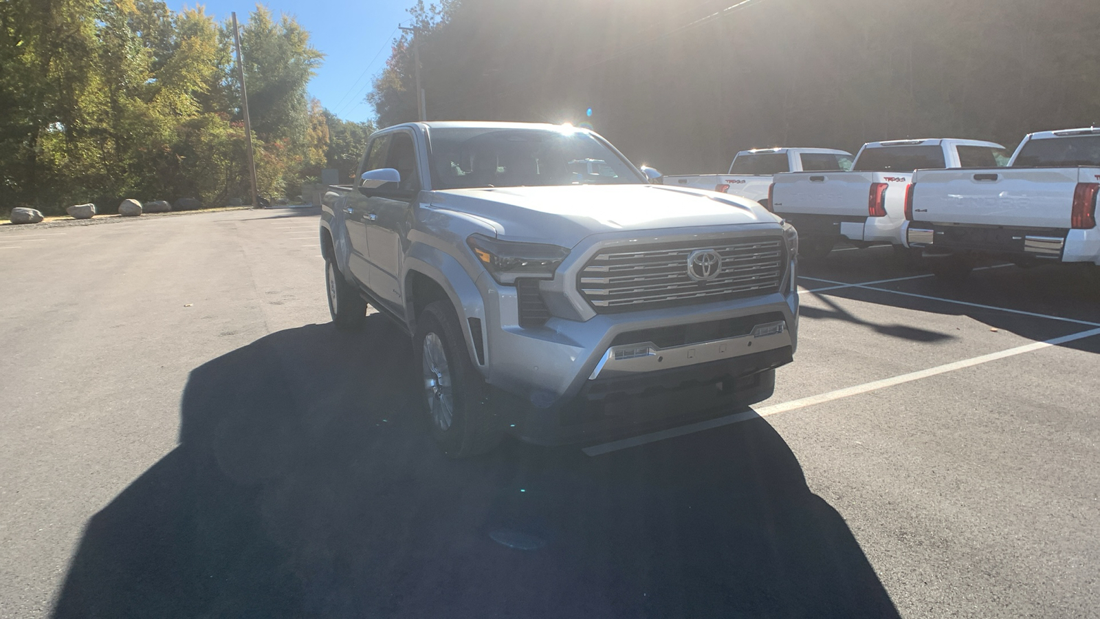 2024 Toyota Tacoma 4WD Limited 1