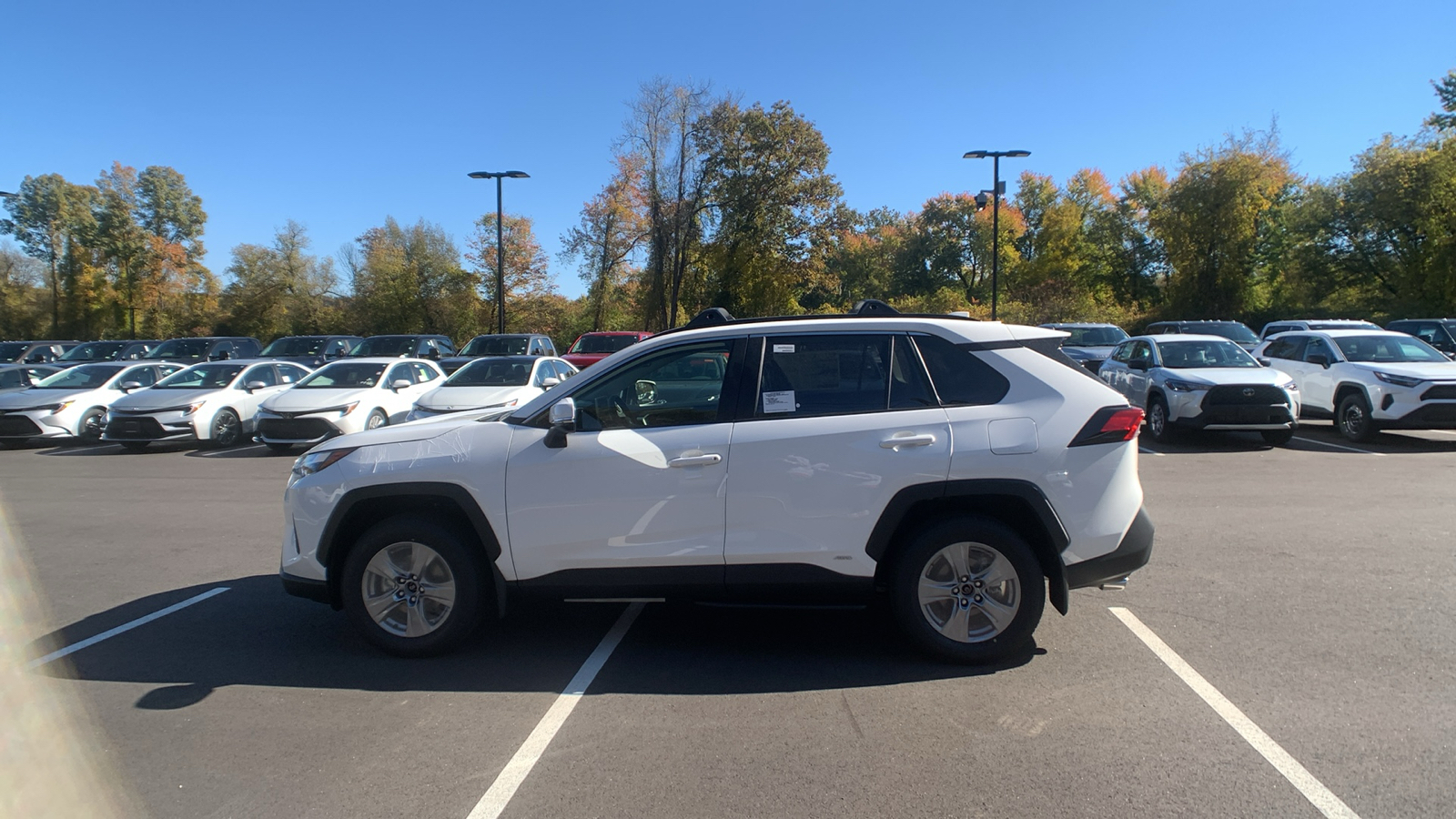 2024 Toyota RAV4 Hybrid XLE 6