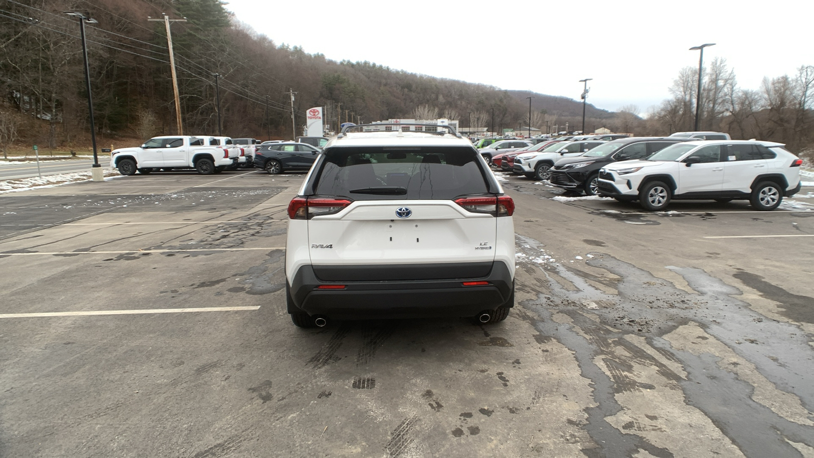 2024 Toyota RAV4 Hybrid LE 4