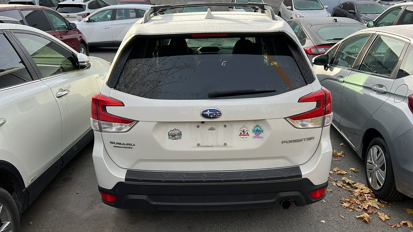 2019 Subaru Forester Limited 10