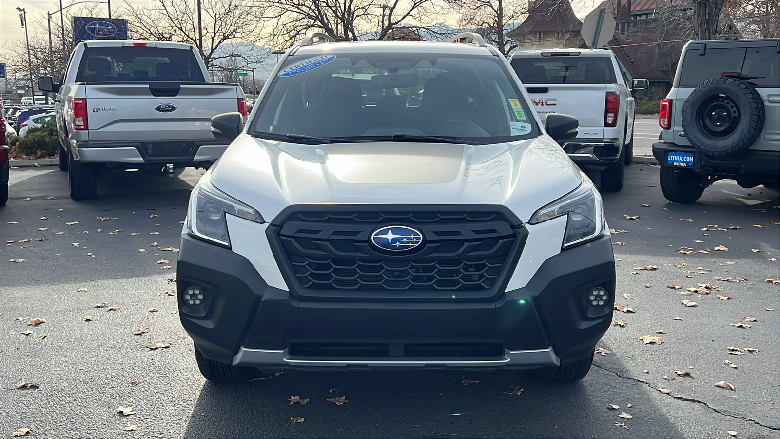 2023 Subaru Forester Wilderness 6