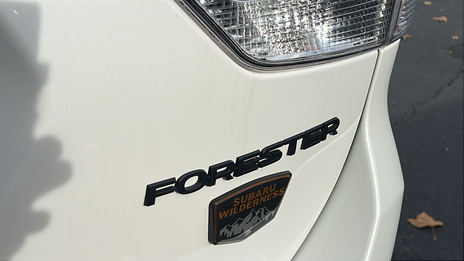 2023 Subaru Forester Wilderness 7