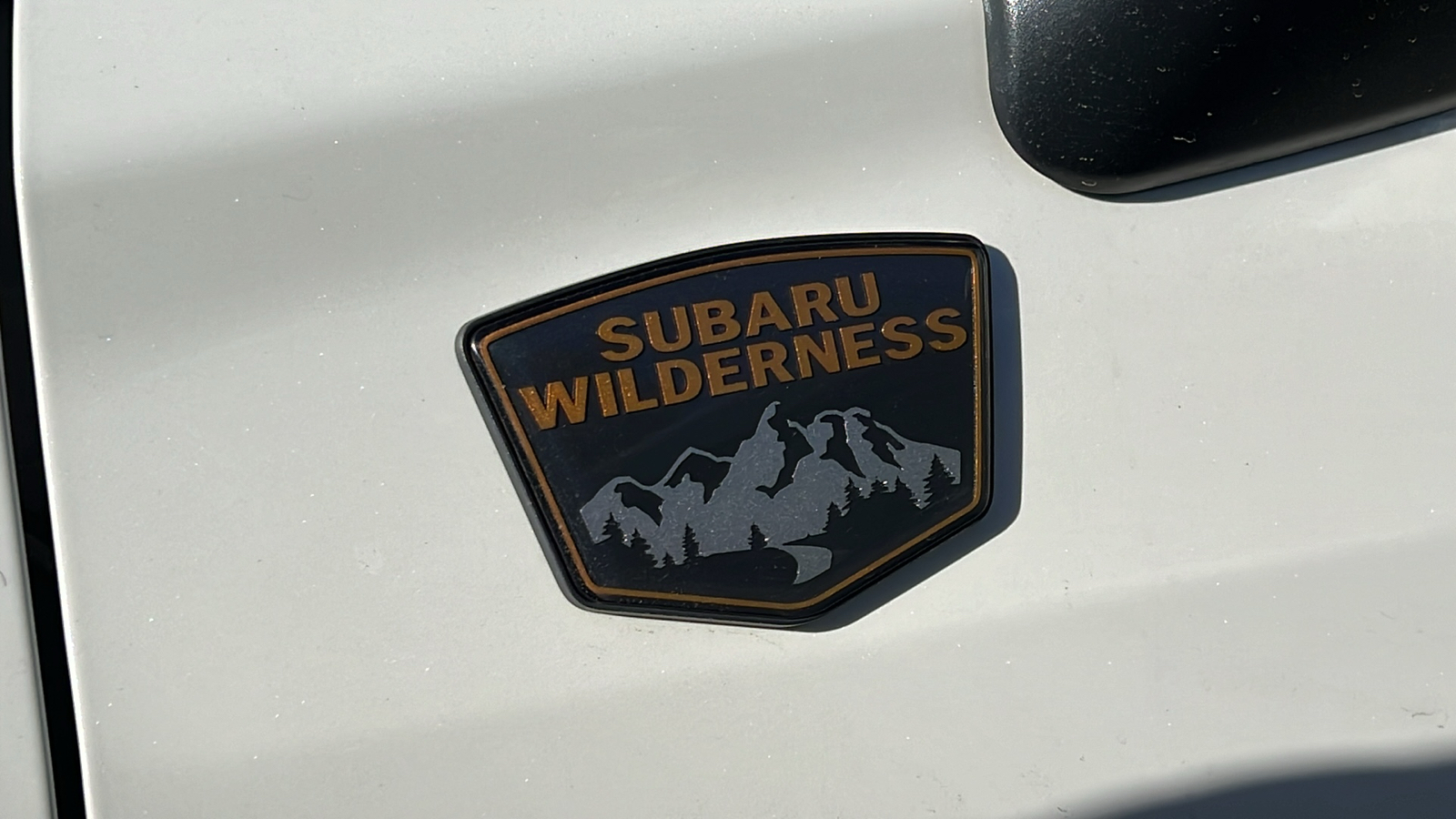 2023 Subaru Forester Wilderness 5