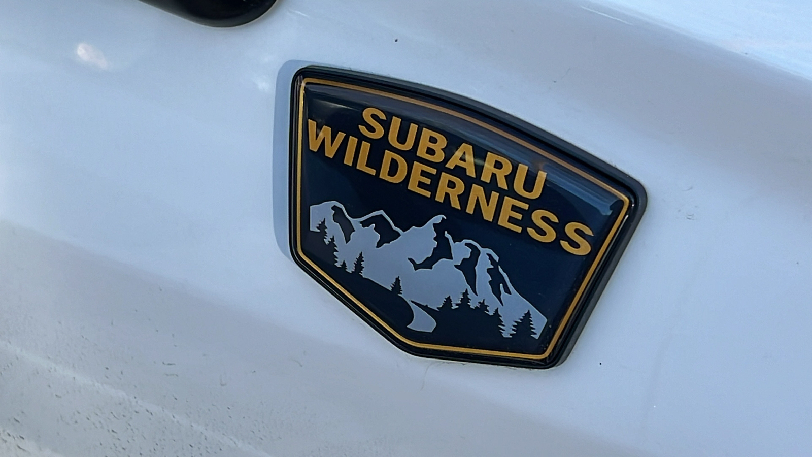 2023 Subaru Forester Wilderness 14