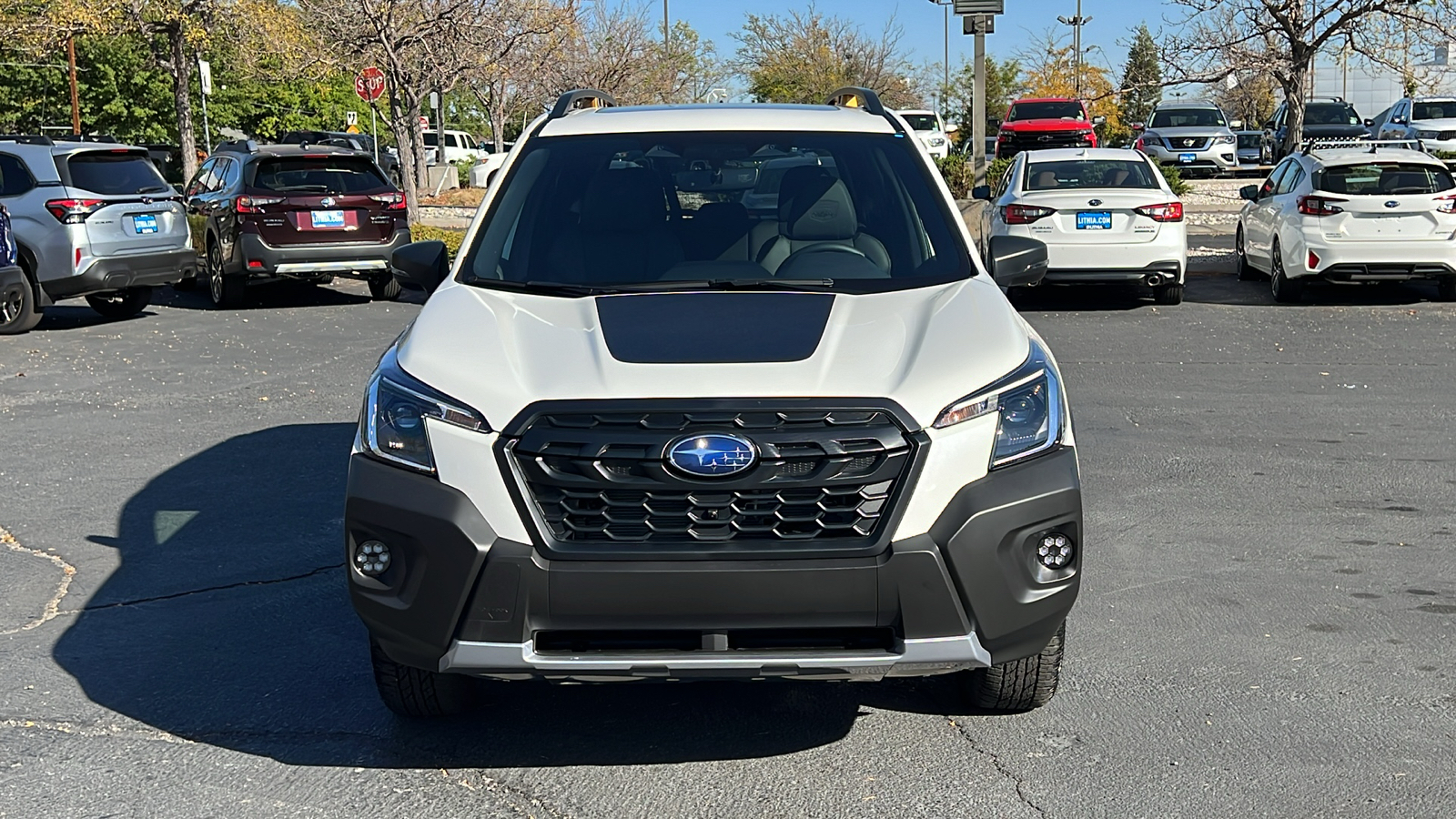 2024 Subaru Forester Wilderness 6