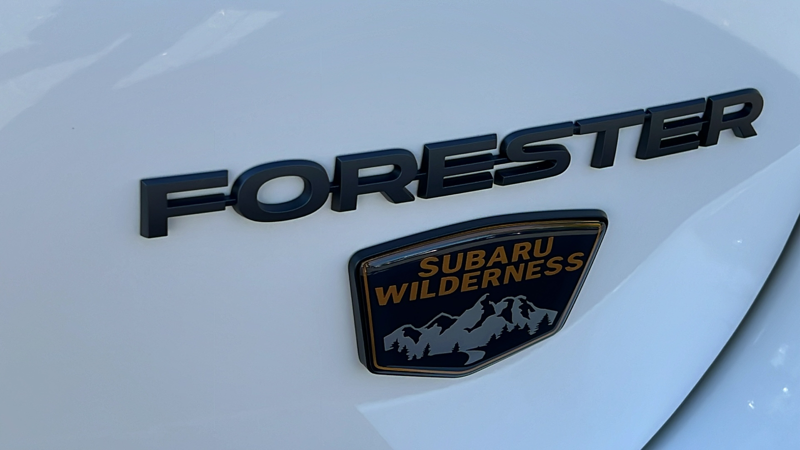 2024 Subaru Forester Wilderness 7