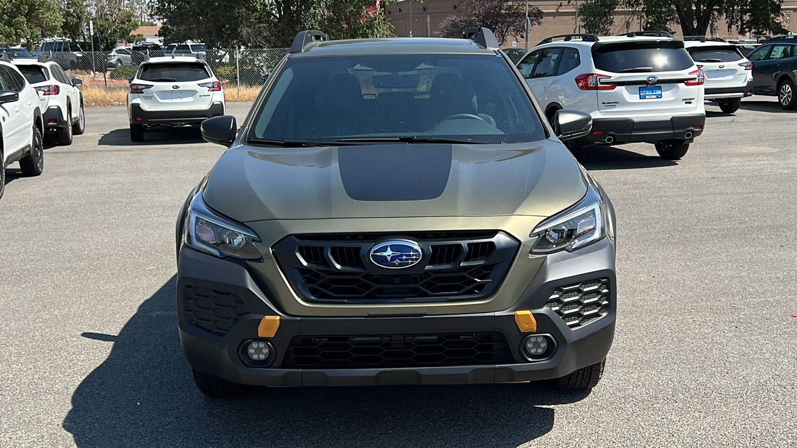 2025 Subaru Outback Wilderness 6