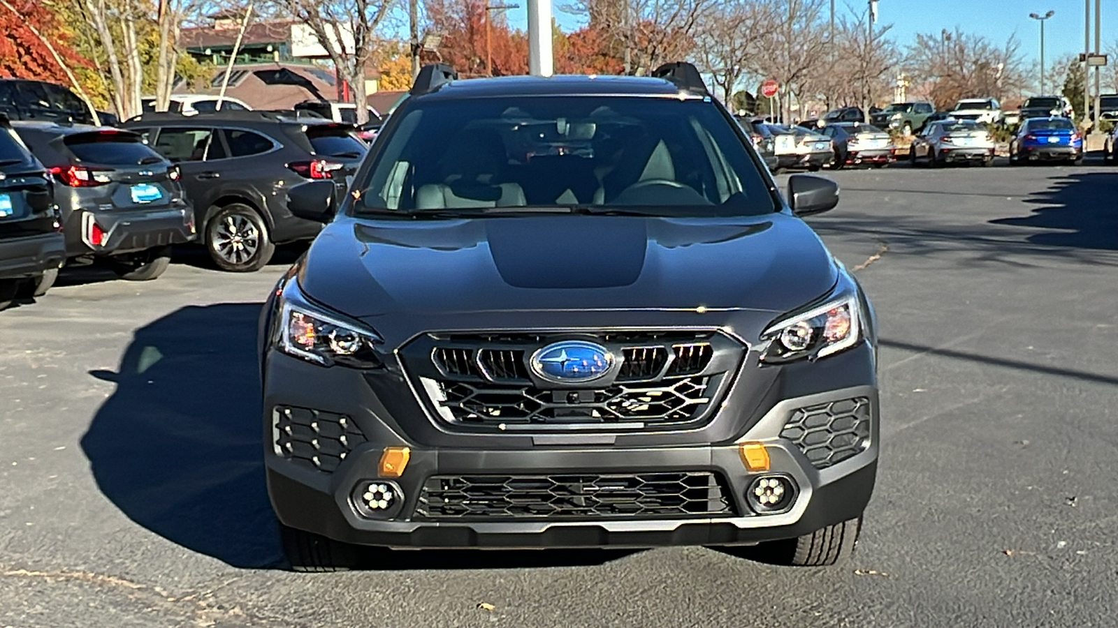 2025 Subaru Outback Wilderness 6