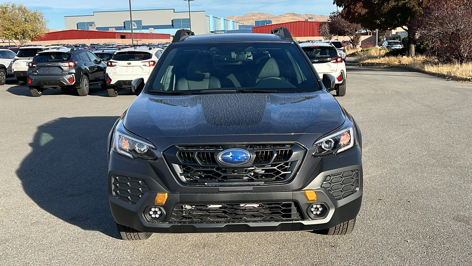 2025 Subaru Outback Wilderness 6