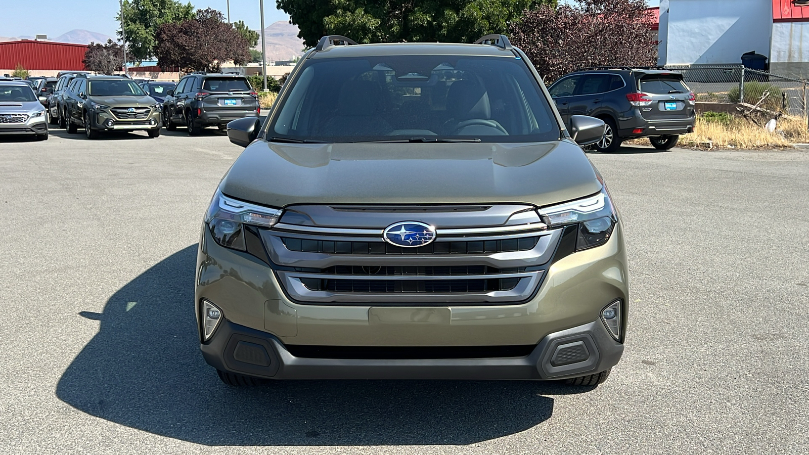 2025 Subaru Forester Premium 6