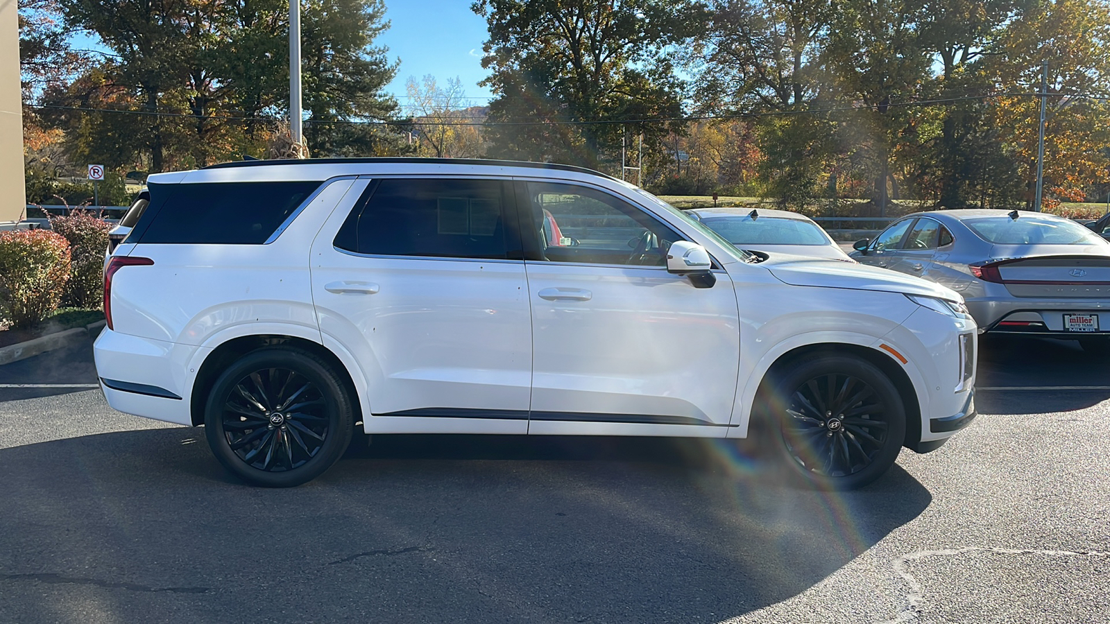 2024 Hyundai Palisade Calligraphy Night Edition 3