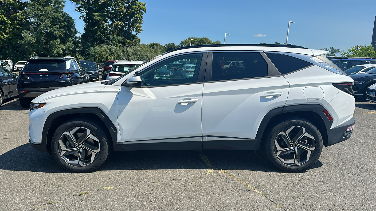 2022 Hyundai Tucson Hybrid SEL Convenience 6