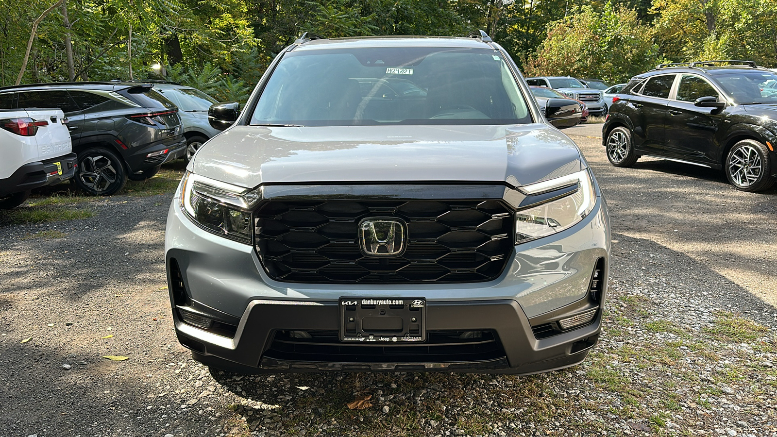 2022 Honda Passport Elite 8