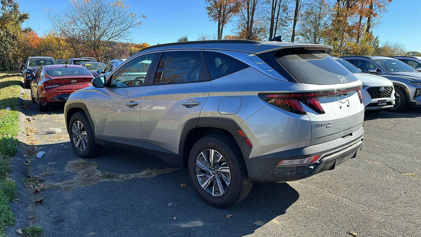 2024 Hyundai Tucson Hybrid Blue 5