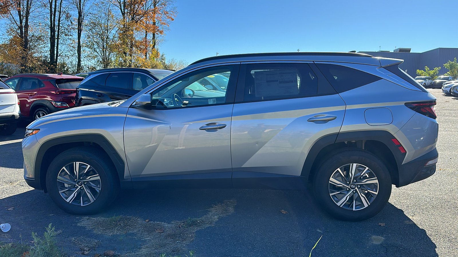 2024 Hyundai Tucson Hybrid Blue 6