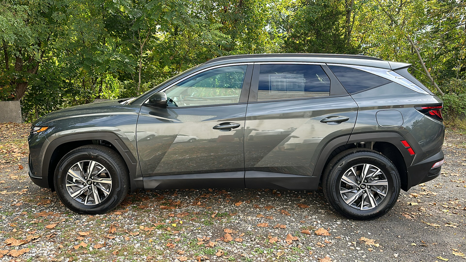 2024 Hyundai Tucson Hybrid Blue 6