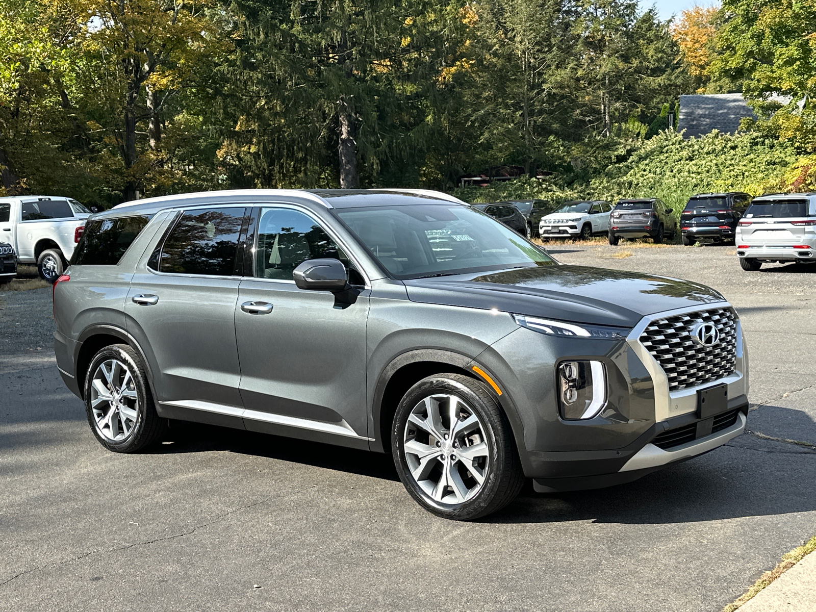 2021 Hyundai Palisade SEL 1